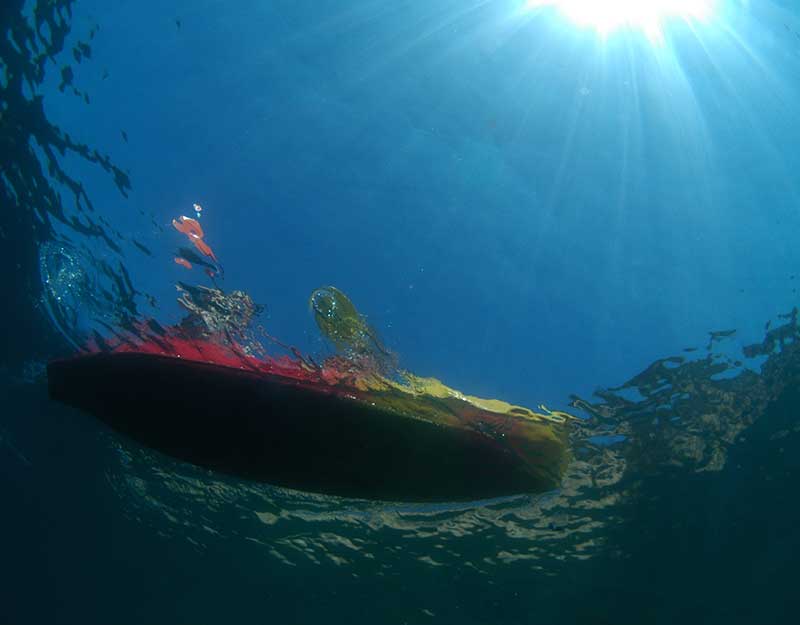 Biofouling: how nautical entertainment can contribute to healthier oceans