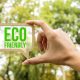 Certificação Ecológica: 5 passos para verificar se um produto realmente respeita a natureza!